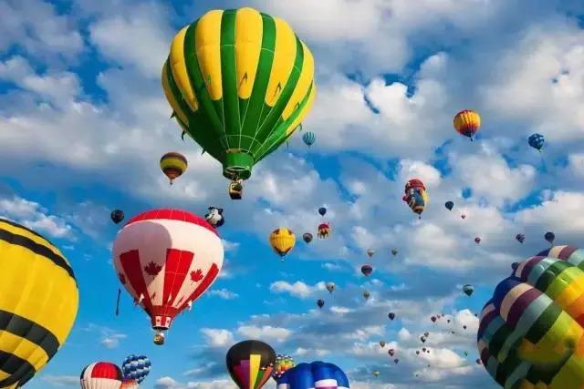 义乌九洲百合夏日奇遇，最新动态与温馨欢乐活动揭秘