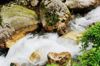 九龙沟风景区最新动态与消息更新