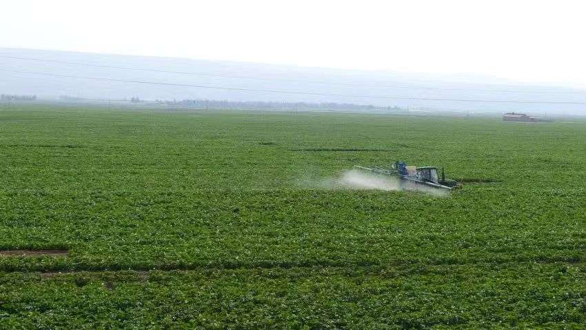 三北防护林绿意盎然背后的温情故事最新消息