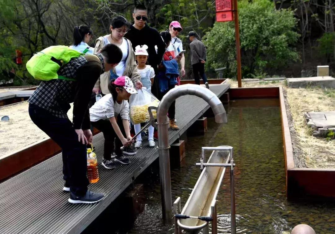 枣庄莲花山生态园最新动态更新,最新消息汇总