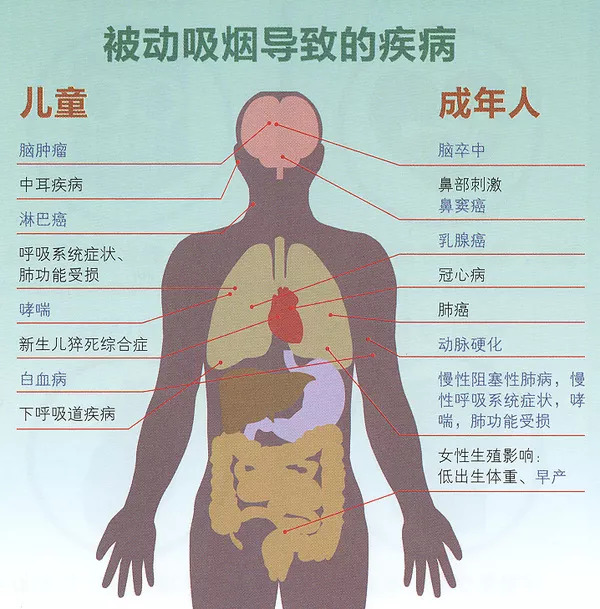 未来三年肌营养不良最新疗法,科技引领生命重塑之光
