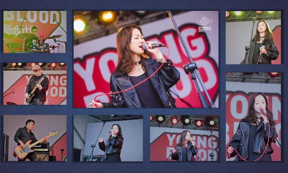 变化中的学习,探索最新2017夜夜mp3地址,自信与成就感的源泉