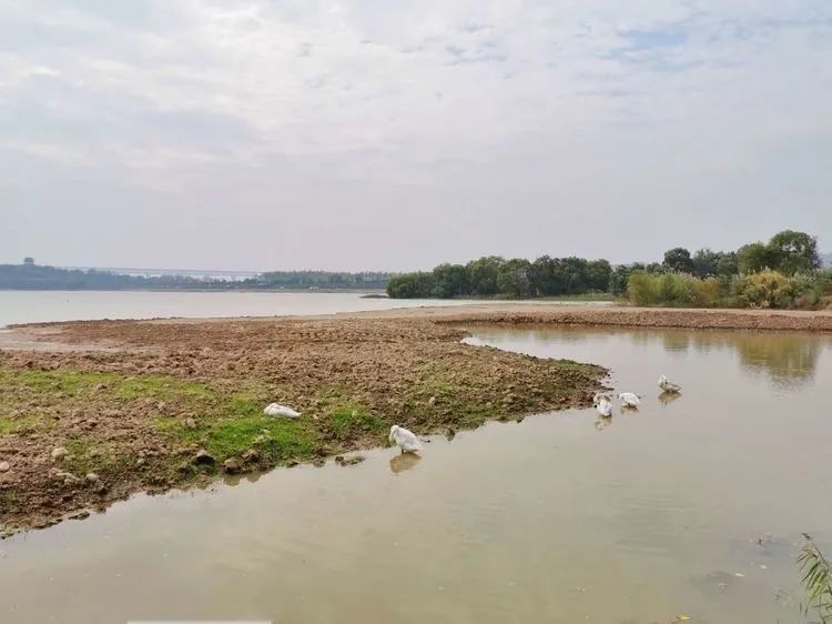 三门峡杨清波的最新动态与温馨日常