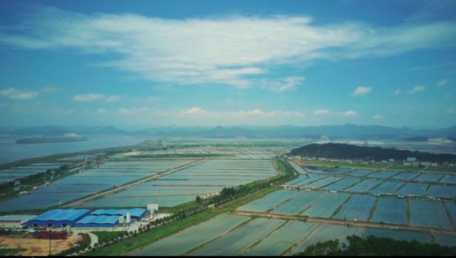 三门县浦坝港最新动态更新消息速递