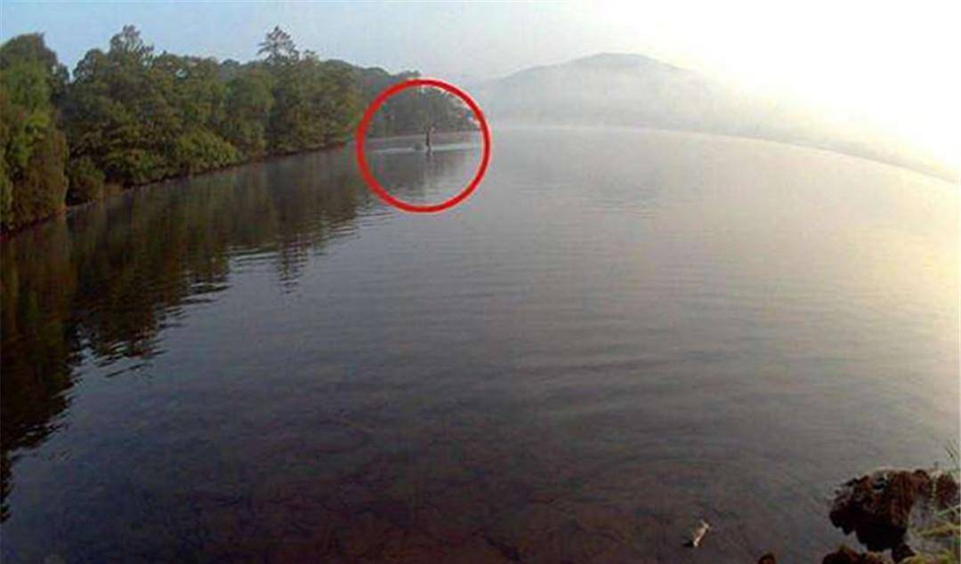 水怪最新论述解析