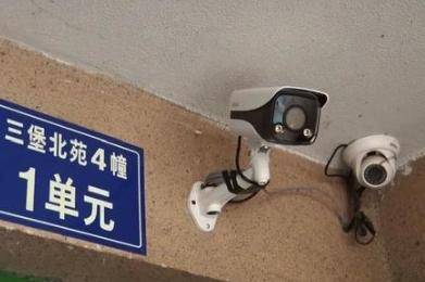 最新监控下的温馨日常,小明的奇妙监视之旅观察记