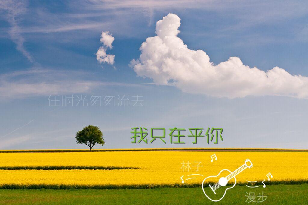 时代之声振翅,最新标语引领领域风潮