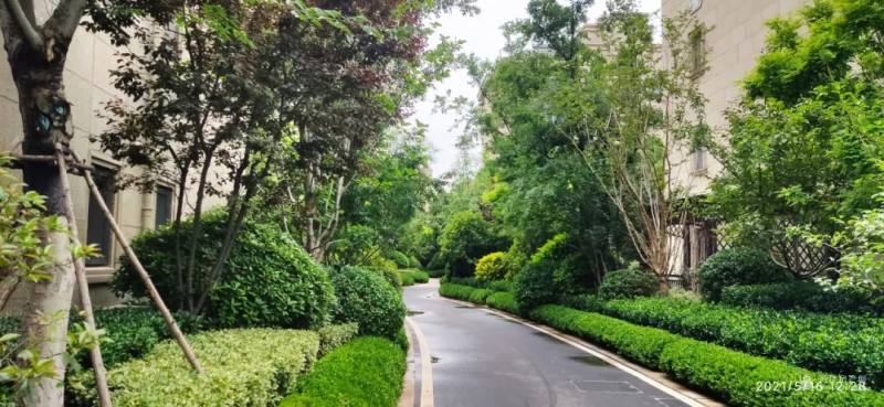 时代之声振翅,最新标语引领领域风潮