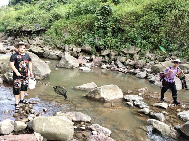 科技深海探索，最新打鱼平台智能捕捞未来体验