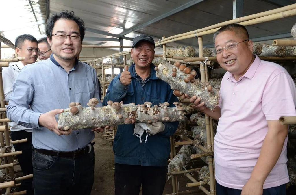 最新27报独家揭秘,引领科技潮流的高科技产品大盘点