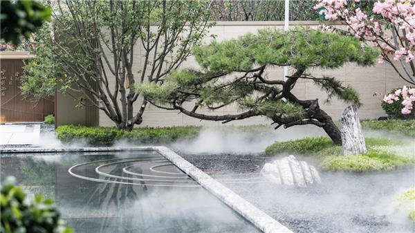 雅居乐锦城最新房价揭秘,小巷深处的惊喜发现