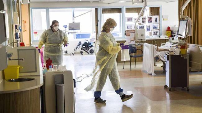 荷兰疫情实时更新,最新动态与消息