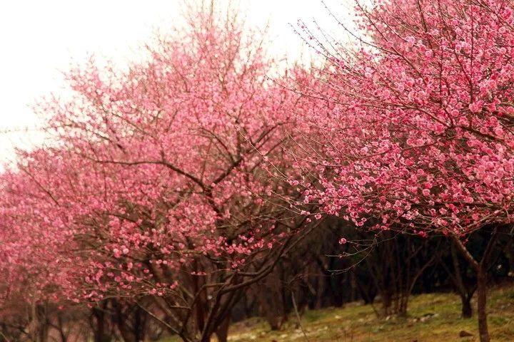 最新6分彩下载版，轻松玩转科普文章