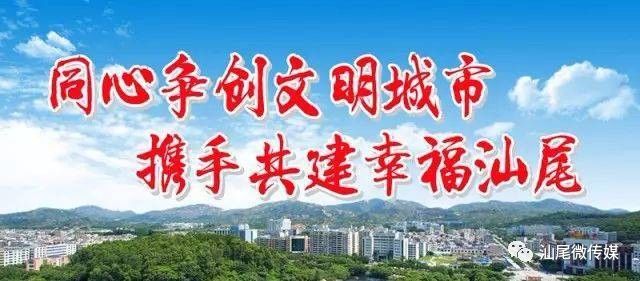 汕尾创文最新动态，揭晓最新的进展与消息