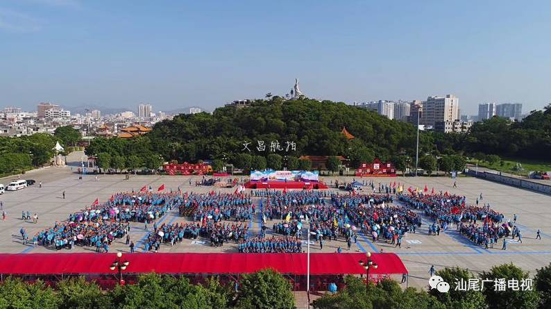 汕尾创文最新动态,揭晓最新的进展与消息