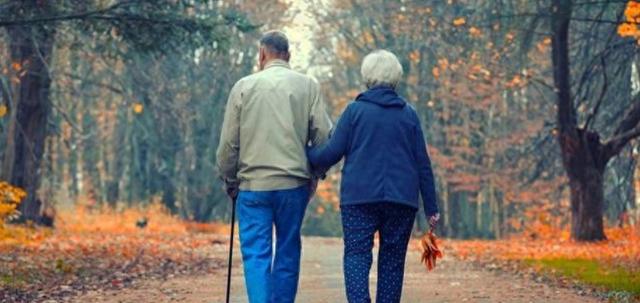 传奇最新款手机推荐,小明的奇幻之旅与友情纽带中的梦幻装备