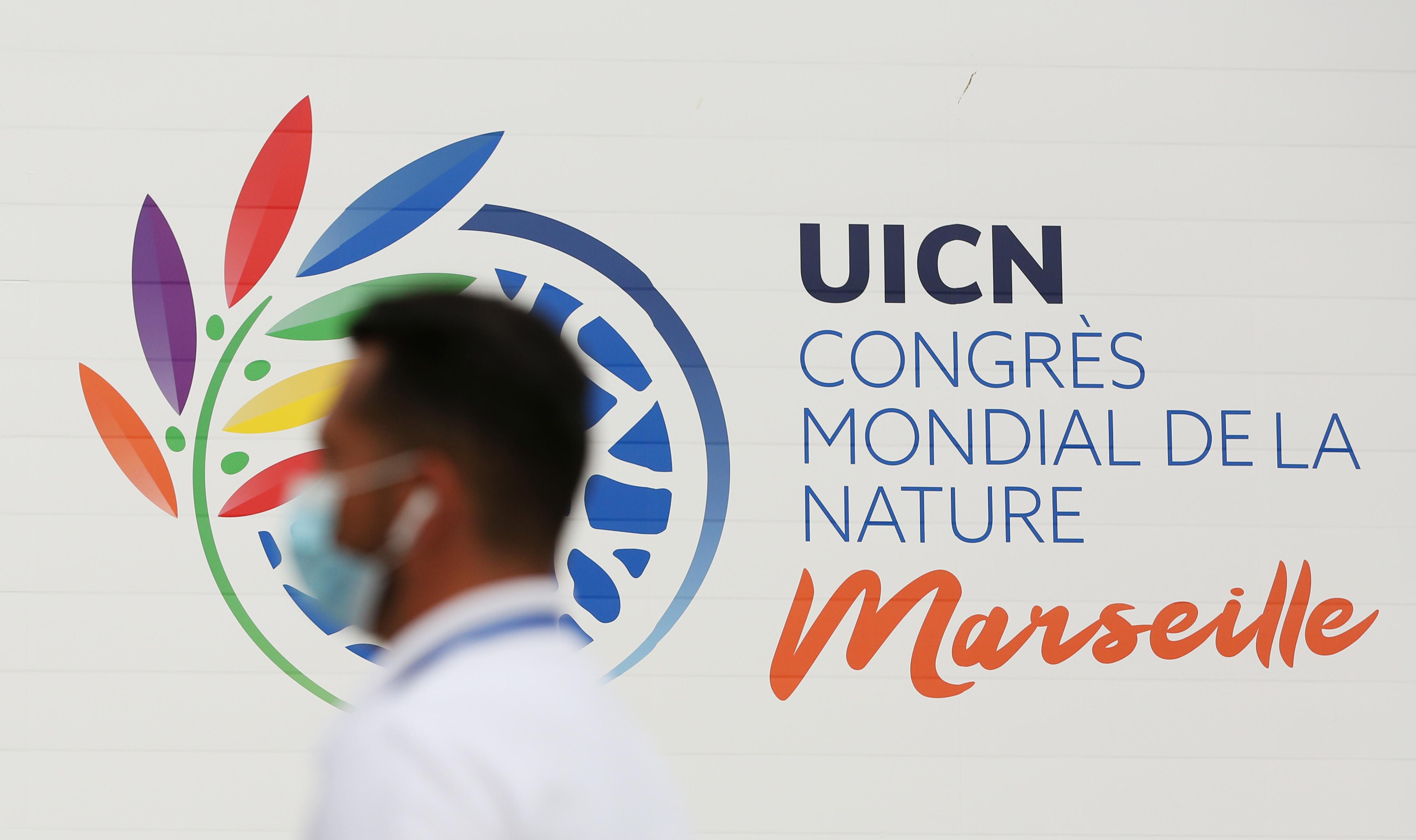 法国最新大名单群星闪耀,时代新篇章揭晓