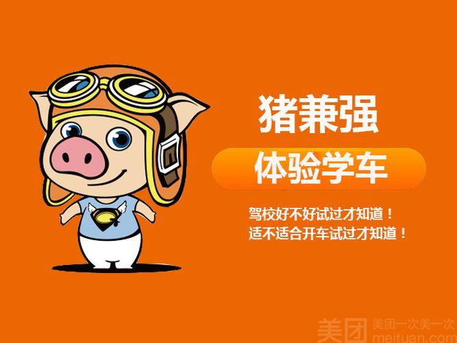 猪坚强驾校最新动态更新,最新消息汇总