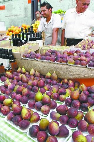 突尼斯新冠疫情实时更新,最新动态与进展