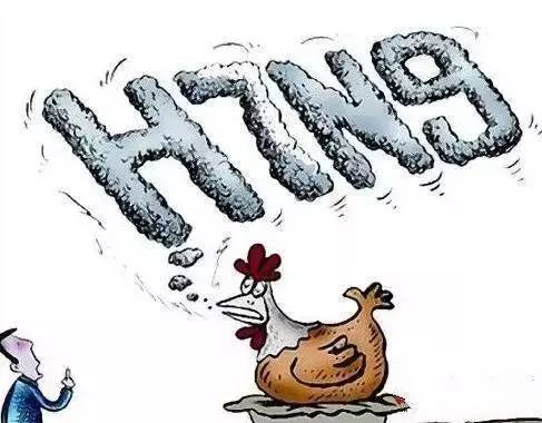 2018年禽流感最新动态与观点分析