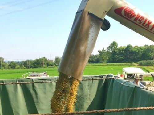 合肥洪涝灾害最新动态,洪水边的心灵之旅