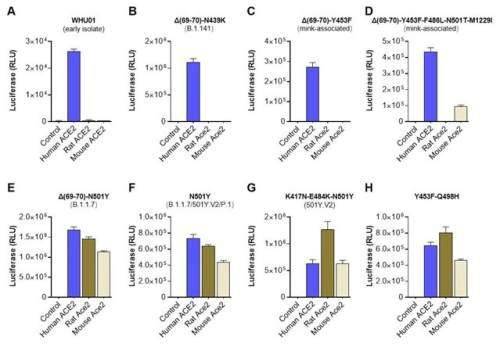 中国新冠病毒最新数据,科学解读与应对策略