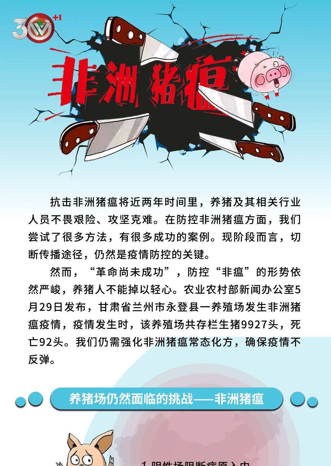 缅甸非洲猪瘟最新动态,疫情持续引发关注