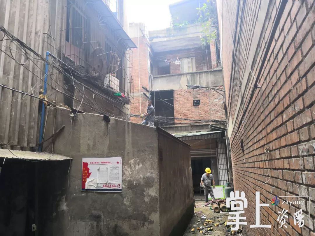 光遇找崽无翼最新,小巷中的隐秘特色小店探索