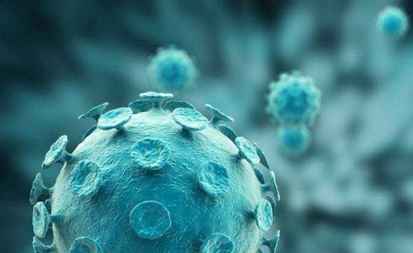 世界新增肺炎疫情最新动态,自然美景的治愈之旅