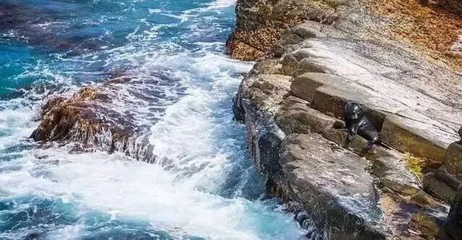 台风最新信息台,拥抱自然的奇妙之旅