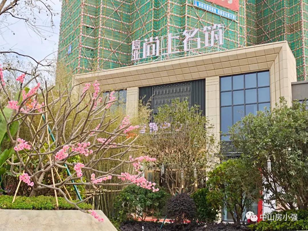 最新版的飞腾,详细步骤指南