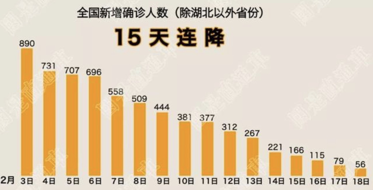 全国最新疫情死亡回顾，背景、事件与影响概览