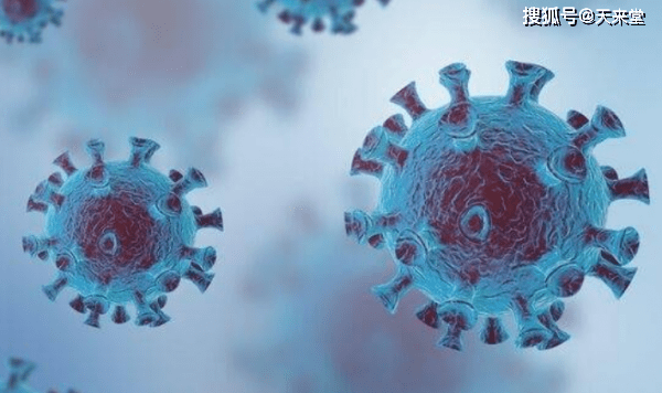 东莞亨美之旅,与自然美景的邂逅与内心的平和追求