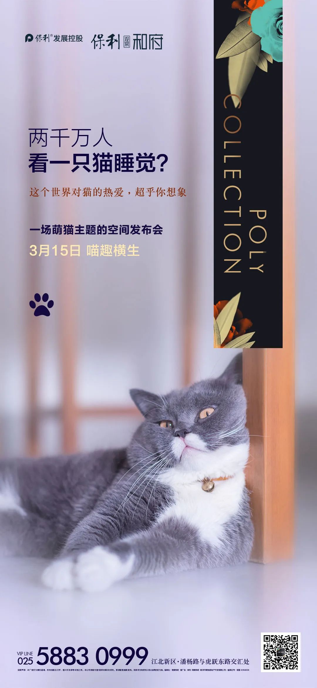 猫最新版下载,科技引领生活,体验前沿魅力