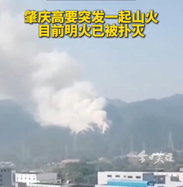 广东肇庆山火最新报告,火场中的温情故事