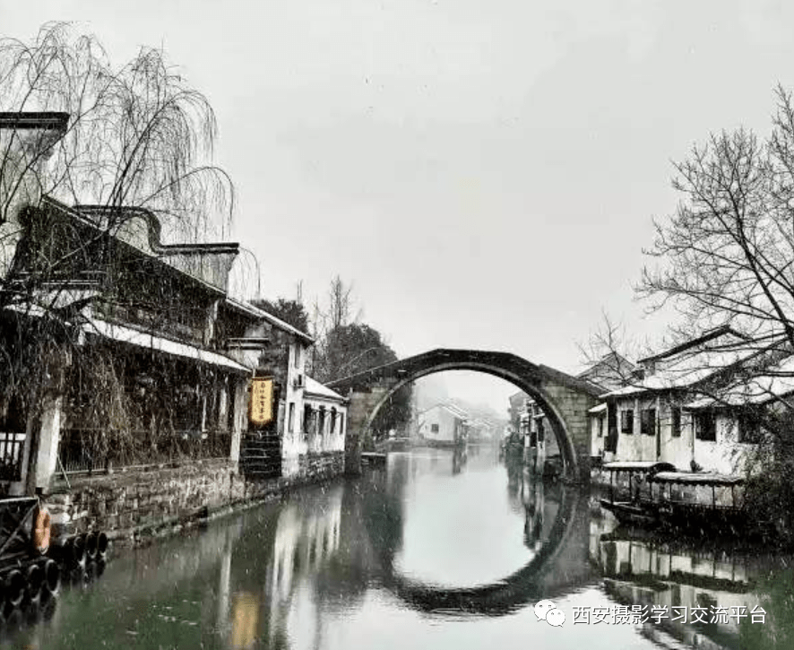 南浔古镇焕新揭秘,最新动向与发展动态