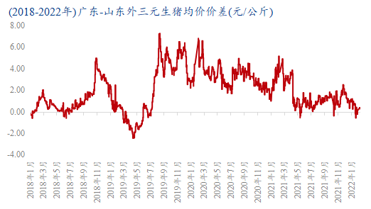 广东猪价最新动态,变化背后的故事,学习与成就的力量在推动前行