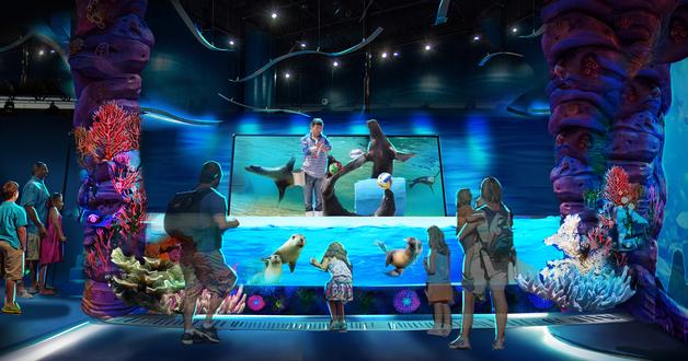 海上世界最新展览,探索海洋奥秘的盛宴