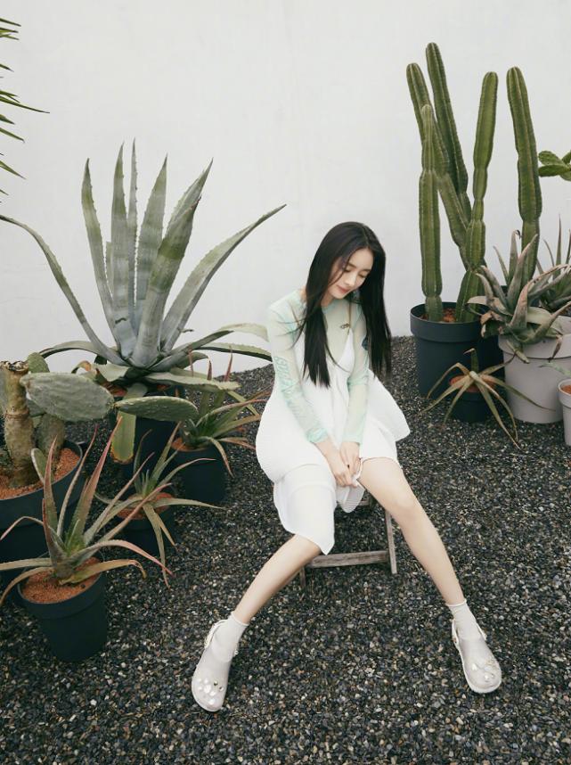 大丝姐最新漫画步骤指南及精彩内容解析