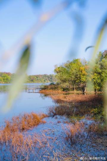 警惕!快猫黄视频背后的真实意图,探索自然美景背后的真实平和之旅?