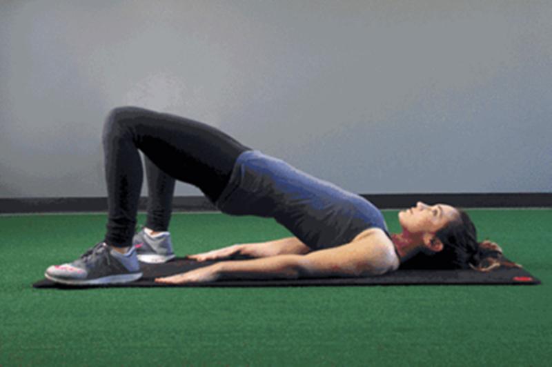 奖虫最新版的奇妙日常探索