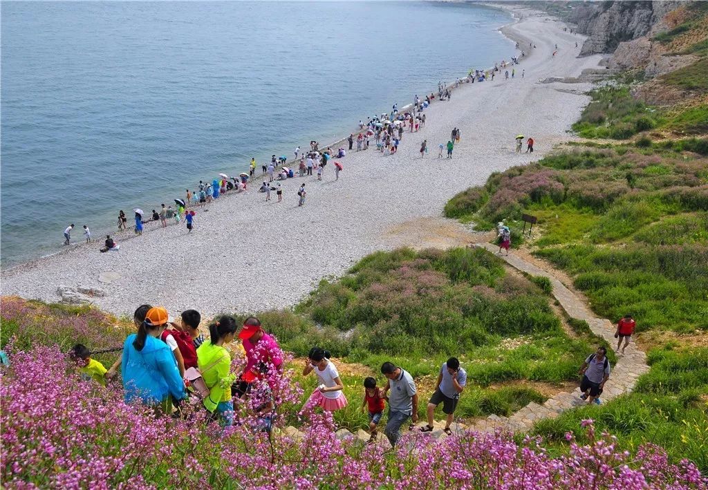 长岛风景区最新奇遇,家庭欢乐之旅