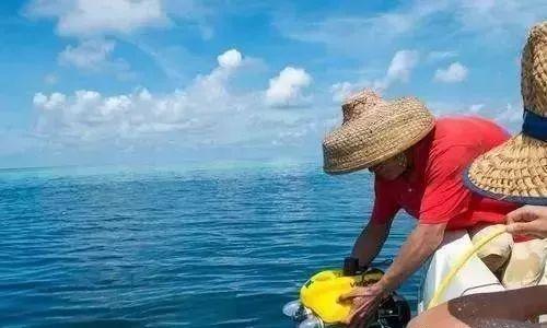 三沙市最新航班,航迹、影响与时代地位揭秘