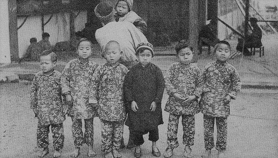 免费最新版逗,技能获取与应用详细指南