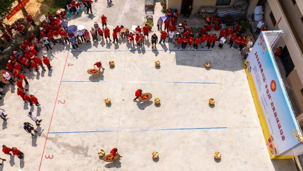 今日生猪价格动态,小明与他的朋友们温馨日常中的深厚友情与陪伴的爱