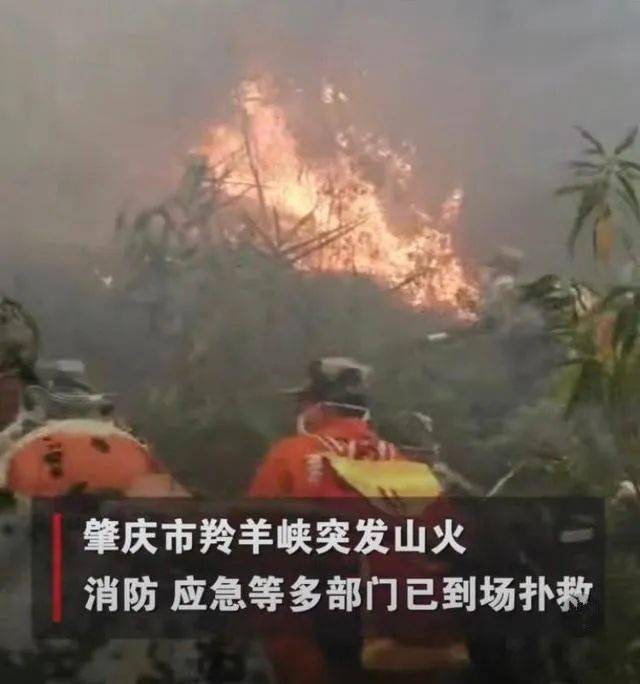 羚羊峡山火扑救进展、影响及预防措施,最新报道汇总
