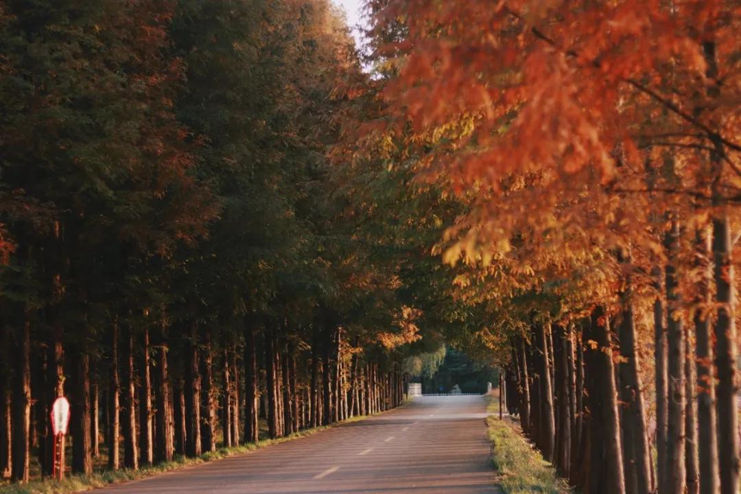 小红书推荐兰州最新租房房源,总有一款满足你的需求!
