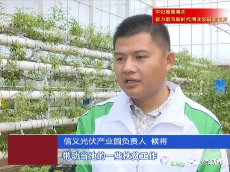 胡传祥最新报道,探寻自然美景之旅,寻觅内心平和的乐园