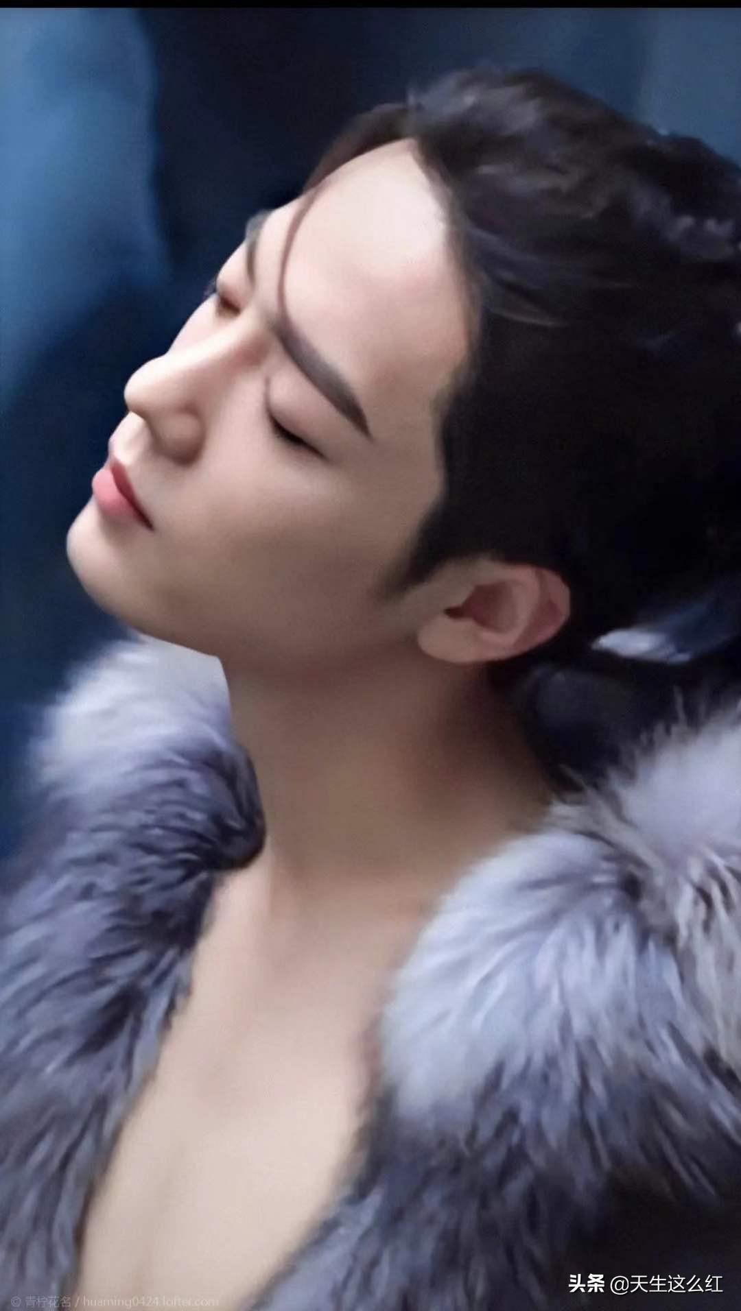 肖战最新动态,回归全面分析及其影响