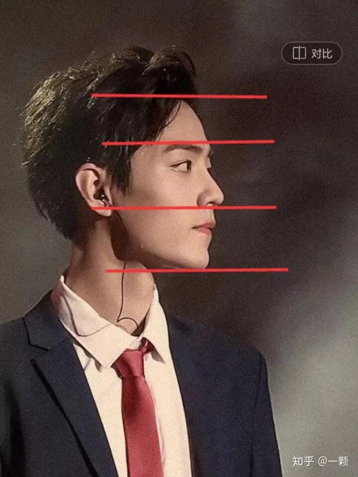 肖战最新动态,回归全面分析及其影响